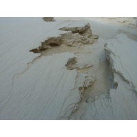 รูปถ่าย นิวแคลิโดเนีย(New Caledonia) เกาะลีฟู(Lifou) ลูเอซิลลา(Luecilla) 2010-05 57