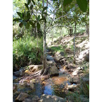 รูปถ่าย นิวแคลิโดเนีย(New Caledonia) ถนนจากตงตูตาไปทีโอ(Tontouta to Thio road) 2010-05 108