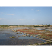 รูปถ่าย ฝรั่งเศส(France) เกรองเดอ(Guerande) 2006-08 12
