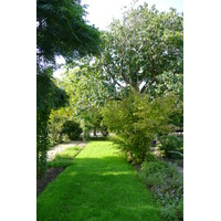 รูปถ่าย ฝรั่งเศส(France) ปารีส(Paris) สวนพันธ์ุพืช(Jardin des Plantes) 2007-08 139