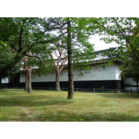 รูปถ่าย ญี่ปุ่น(Japan) เกียวโต(Kyoto) ปราสาทนิโจ(Nijo Castle) 2010-06 36