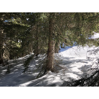 รูปถ่าย ฝรั่งเศส(France) เมแฌฟว์(Megeve) 2019-03 59