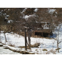 รูปถ่าย คาซัคสถาน(Kazakhstan) อุทยานแห่งชาติอีเลอาลาเตา(Ile Alatau National Park) 2007-03 93