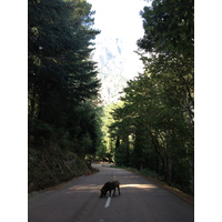 รูปถ่าย ฝรั่งเศส(France) คอร์สิคา(Corsica) บาแวลลา(Bavella) 2012-09 11