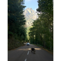 รูปถ่าย ฝรั่งเศส(France) คอร์สิคา(Corsica) บาแวลลา(Bavella) 2012-09 79