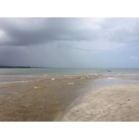 รูปถ่าย คอสตาริกา(Costa Rica) กาอุยตา(Cahuita) 2015-03 140