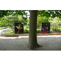 รูปถ่าย ฝรั่งเศส(France) ปารีส(Paris) สวนพันธ์ุพืช(Jardin des Plantes) 2007-08 143