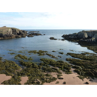 รูปถ่าย ฝรั่งเศส(France) เกาะดีเยอ(Ile d'yeu) 2009-07 91