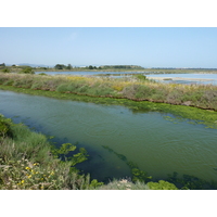 รูปถ่าย ฝรั่งเศส(France) คาบสมุทรเยียง(Giens Peninsula) 2009-05 23