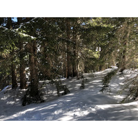 รูปถ่าย ฝรั่งเศส(France) เมแฌฟว์(Megeve) 2019-03 93
