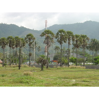 รูปถ่าย ไทย(Thailand) ภูเก็ต(Phuket) หาดกมลา(Kamala Beach) 2005-12 63