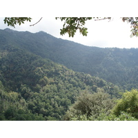 รูปถ่าย ฝรั่งเศส(France) คอร์สิคา(Corsica) วัลเล-ดาเลซานี(Valle d'alesani) 2006-09 99