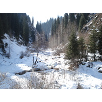 รูปถ่าย คาซัคสถาน(Kazakhstan) อุทยานแห่งชาติอีเลอาลาเตา(Ile Alatau National Park) 2007-03 36