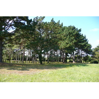 รูปถ่าย ฝรั่งเศส(France) ซืสซีนีโอ(Suscinio) 2007-09 35