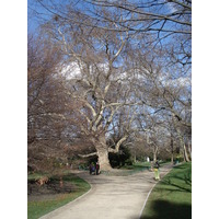 รูปถ่าย ฝรั่งเศส(France) ปารีส(Paris) สวนมงโซ(Monceau Garden) 2006-03 44