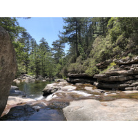 รูปถ่าย ฝรั่งเศส(France) คอร์สิคา(Corsica) ป่าไอโตเน(Aitone Forest) 2021-06 47