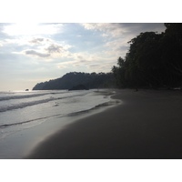 รูปถ่าย คอสตาริกา(Costa Rica) มานวยล์อันโตนีโอ(Manuel Antonio) 2015-03 128