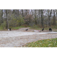 รูปถ่าย ยูเครน(Ukraine) เคียฟ(Kiev) "ฮีโดรปาร์ค(Hydropark) 2007-11 61