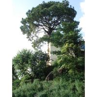 รูปถ่าย ปากีสถาน(Pakistan) ถนนจากอิสลามาบัดไปมัรรี(Islamabad to Murree road) 2006-08 22