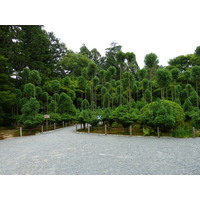 รูปถ่าย ญี่ปุ่น(Japan) เกียวโต(Kyoto) วัดเรียวอันจิ(Ryoanji Temple) 2010-06 25