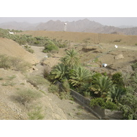 รูปถ่าย โอมาน(Oman) จากบูไรมิไปถนนโซฮาร์(Buraimi to Sohar road) 2005-03 18