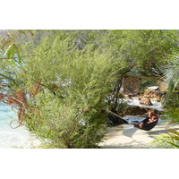 รูปถ่าย ไทย(Thailand) เกาะเสม็ด(Ko Samet) 2009-01 21