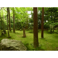 รูปถ่าย ญี่ปุ่น(Japan) เกียวโต(Kyoto) วัดเรียวอันจิ(Ryoanji Temple) 2010-06 53