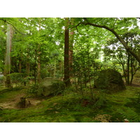 รูปถ่าย ญี่ปุ่น(Japan) เกียวโต(Kyoto) วัดเรียวอันจิ(Ryoanji Temple) 2010-06 52
