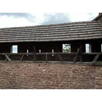 รูปถ่าย ฝรั่งเศส(France) ปราสาทโอ-เคอนิกส์บูร์ก(Koenigsbourg Castle) 2023-10 77