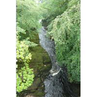 รูปถ่าย อังกฤษ(United Kingdom) สกอตแลนด์(Scotland) เบรคิน(Brechin) 2011-07 2