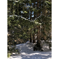รูปถ่าย ฝรั่งเศส(France) เมแฌฟว์(Megeve) 2019-03 20