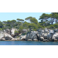รูปถ่าย ฝรั่งเศส(France) แหลมอ็องตีบ(Cap d'Antibes) อ่าวลาร์ฌ็องโฟ(Anse de l'Argent Faux) 2007-07 14