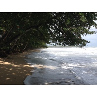 รูปถ่าย คอสตาริกา(Costa Rica) กาอุยตา(Cahuita) 2015-03 197