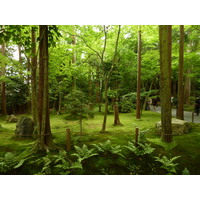 รูปถ่าย ญี่ปุ่น(Japan) 2010-06 72