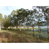 รูปถ่าย นิวแคลิโดเนีย(New Caledonia) 2010-05 64