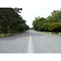 รูปถ่าย ญี่ปุ่น(Japan) เกียวโต(Kyoto) สวนเกียวโตเกียวเอ็ง(Kyoto Gyoen Garden) 2010-06 38