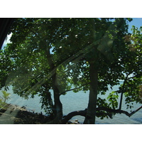 รูปถ่าย เฟรนช์โพลี่นีเซีย(Polynesia) โบราโบรา(Bora Bora) 2006-04 141