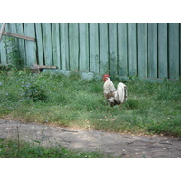 รูปถ่าย รัสเซีย(Russia) จากคาซานไปนิจนีนอฟโกรอด(From Kazan to Nizhniy Novgorod) 2006-07 117