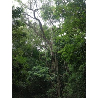 รูปถ่าย คอสตาริกา(Costa Rica) มอนเตซูมา(Montezuma) 2015-03 349