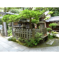 รูปถ่าย ญี่ปุ่น(Japan) เกียวโต(Kyoto) สวนเกียวโตเกียวเอ็ง(Kyoto Gyoen Garden) 2010-06 19