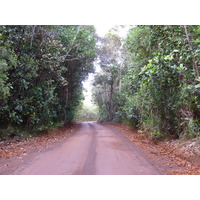 รูปถ่าย นิวแคลิโดเนีย(New Caledonia) อุทยานริเวียร์เบลอ(Parc de la Riviere Bleue) 2010-05 59
