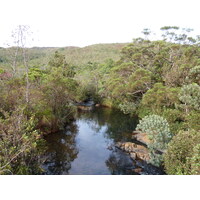 รูปถ่าย นิวแคลิโดเนีย(New Caledonia) อุทยานริเวียร์เบลอ(Parc de la Riviere Bleue) 2010-05 103
