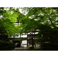 รูปถ่าย ญี่ปุ่น(Japan) เกียวโต(Kyoto) วัดเรียวอันจิ(Ryoanji Temple) 2010-06 71