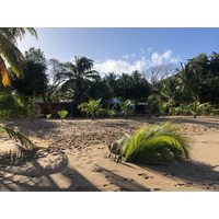 รูปถ่าย กวาเดอลูป(Guadeloupe) หาดลาแปร์ล(La Perle Beach) 2021-02 33