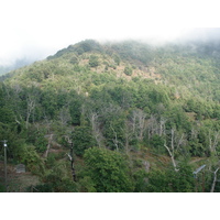 รูปถ่าย ฝรั่งเศส(France) คอร์สิคา(Corsica) วัลเล-ดาเลซานี(Valle d'alesani) 2006-09 14