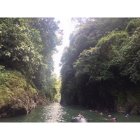 รูปถ่าย คอสตาริกา(Costa Rica) แม่น้ำปากัวเร(Pacuare River) 2015-03 208