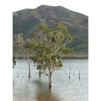 รูปถ่าย นิวแคลิโดเนีย(New Caledonia) 2010-05 58