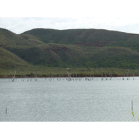 รูปถ่าย นิวแคลิโดเนีย(New Caledonia) อุทยานริเวียร์เบลอ(Parc de la Riviere Bleue) 2010-05 47