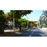 รูปถ่าย อิสราเอล(Israel) เทลอาวีฟ(Tel Aviv) ถนนรอธส์ไชลด์(Rothschild Street) 2007-06 22