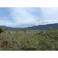 รูปถ่าย นิวแคลิโดเนีย(New Caledonia) อุทยานริเวียร์เบลอ(Parc de la Riviere Bleue) 2010-05 120